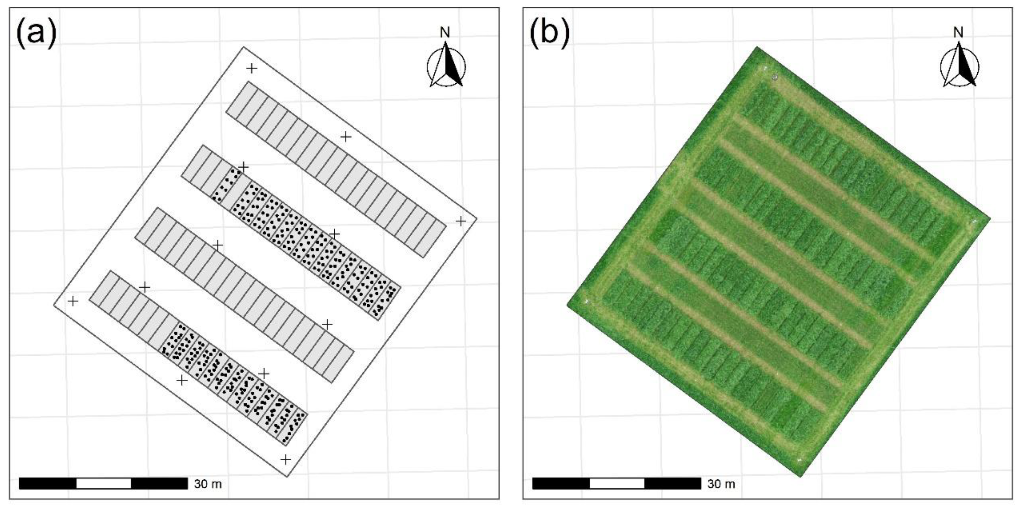 Remotesensing 12 01650 g001 Remotesensing 12 01650 g001