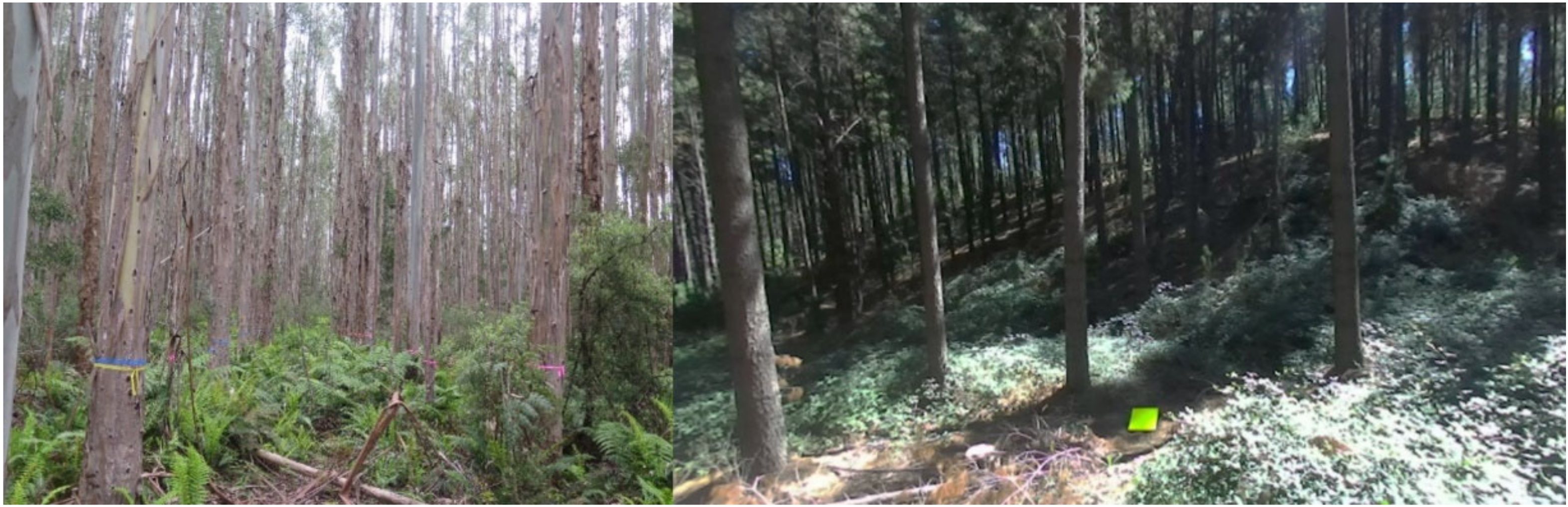 Remotesensing 12 01652 g001