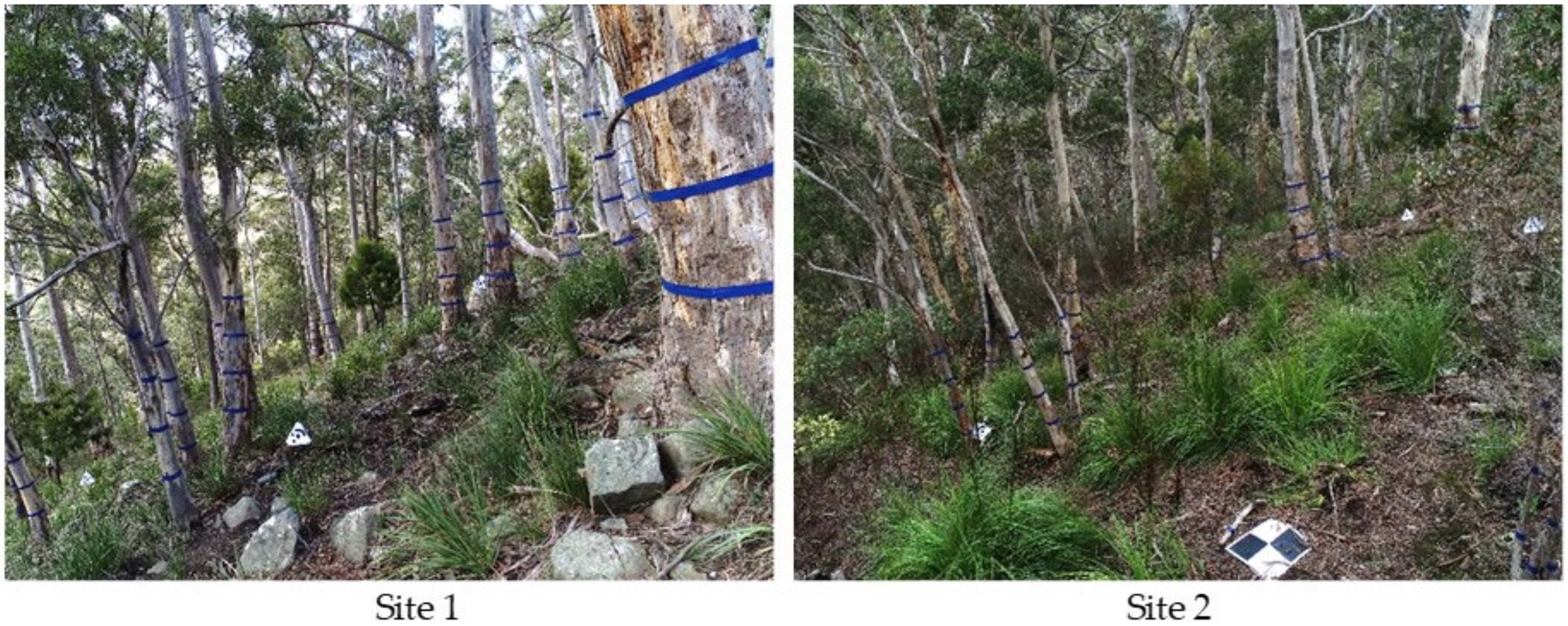 Remotesensing 12 01652 g003