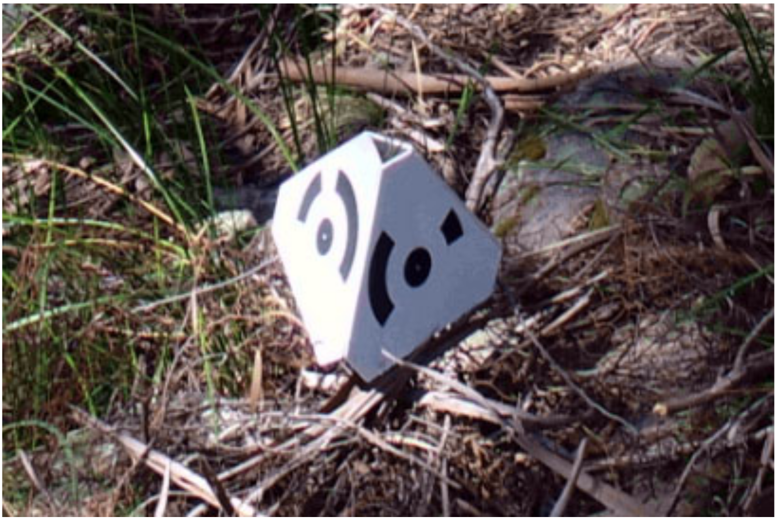 Remotesensing 12 01652 g006