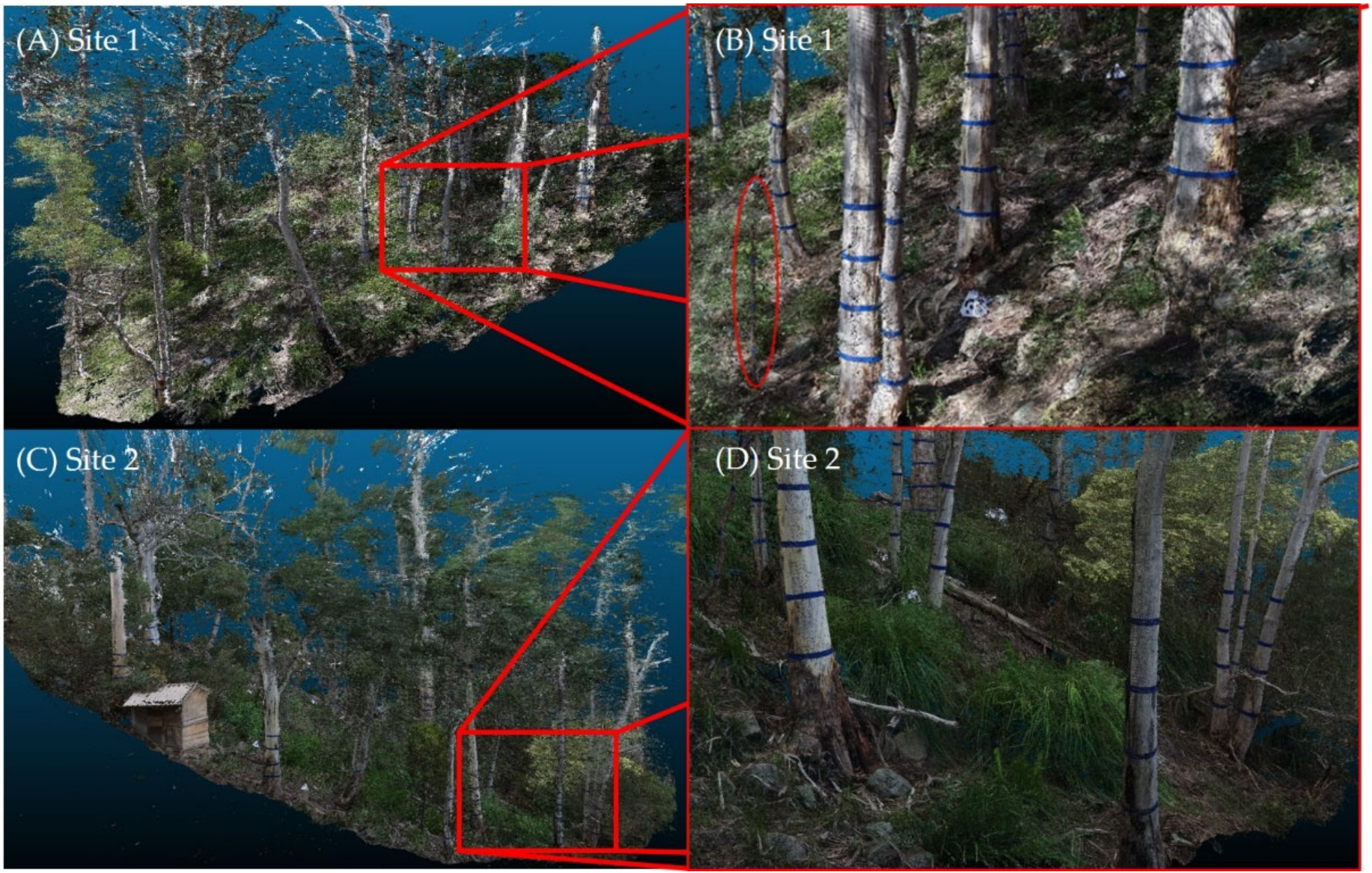 Remotesensing 12 01652 g007