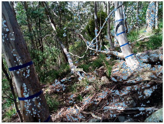 Remotesensing 12 01652 g0a3