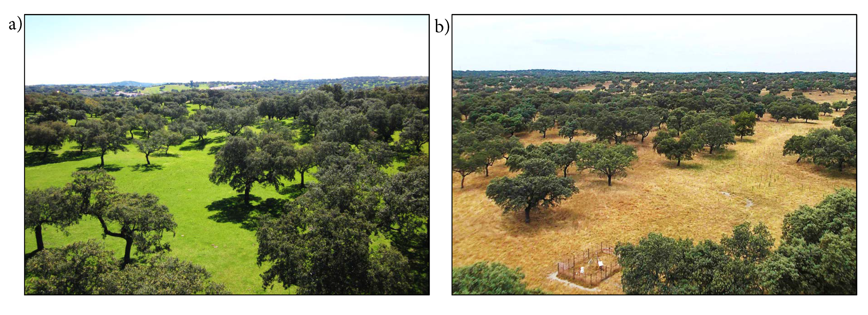 Remotesensing 12 01701 g002