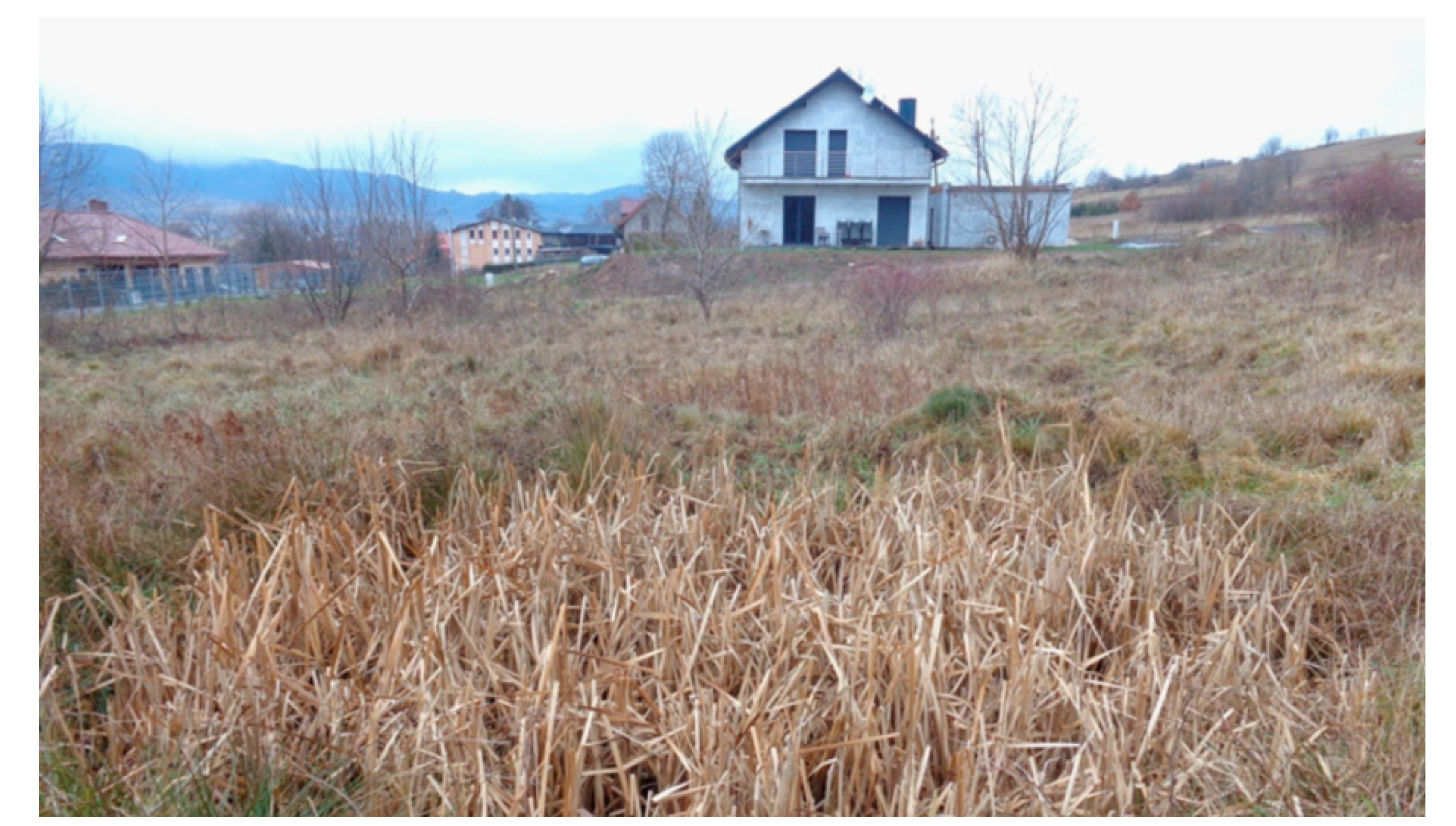 Remotesensing 12 01802 g008 Remotesensing 12 01802 g008