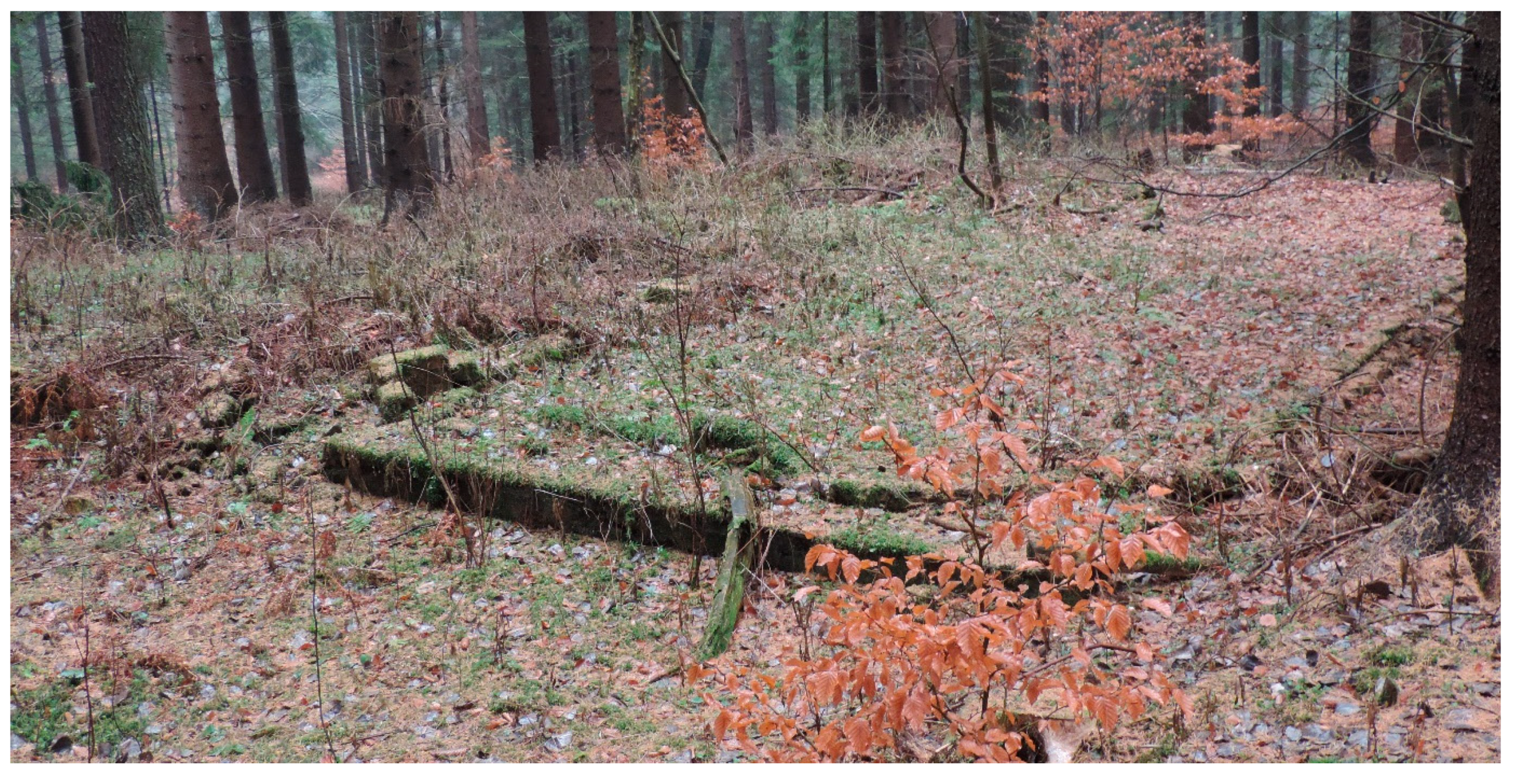 Remotesensing 12 01802 g013 Remotesensing 12 01802 g013