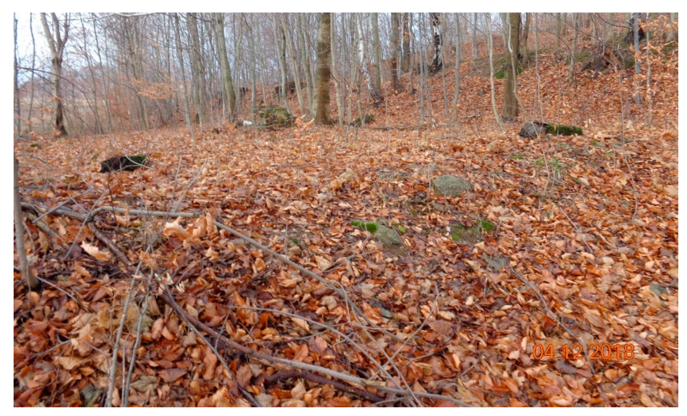 Remotesensing 12 01802 g015 Remotesensing 12 01802 g015