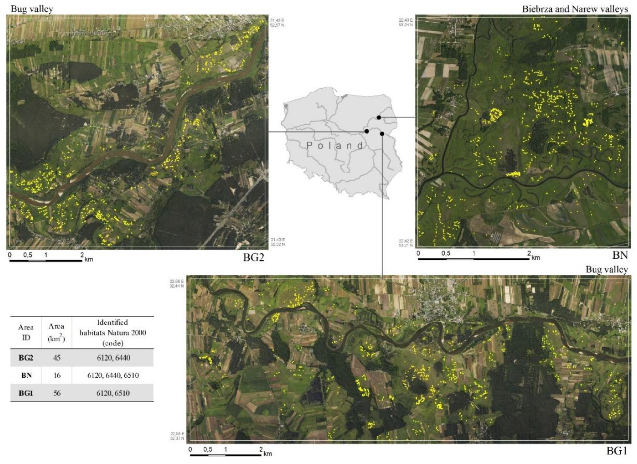 Remotesensing 12 01842 g001