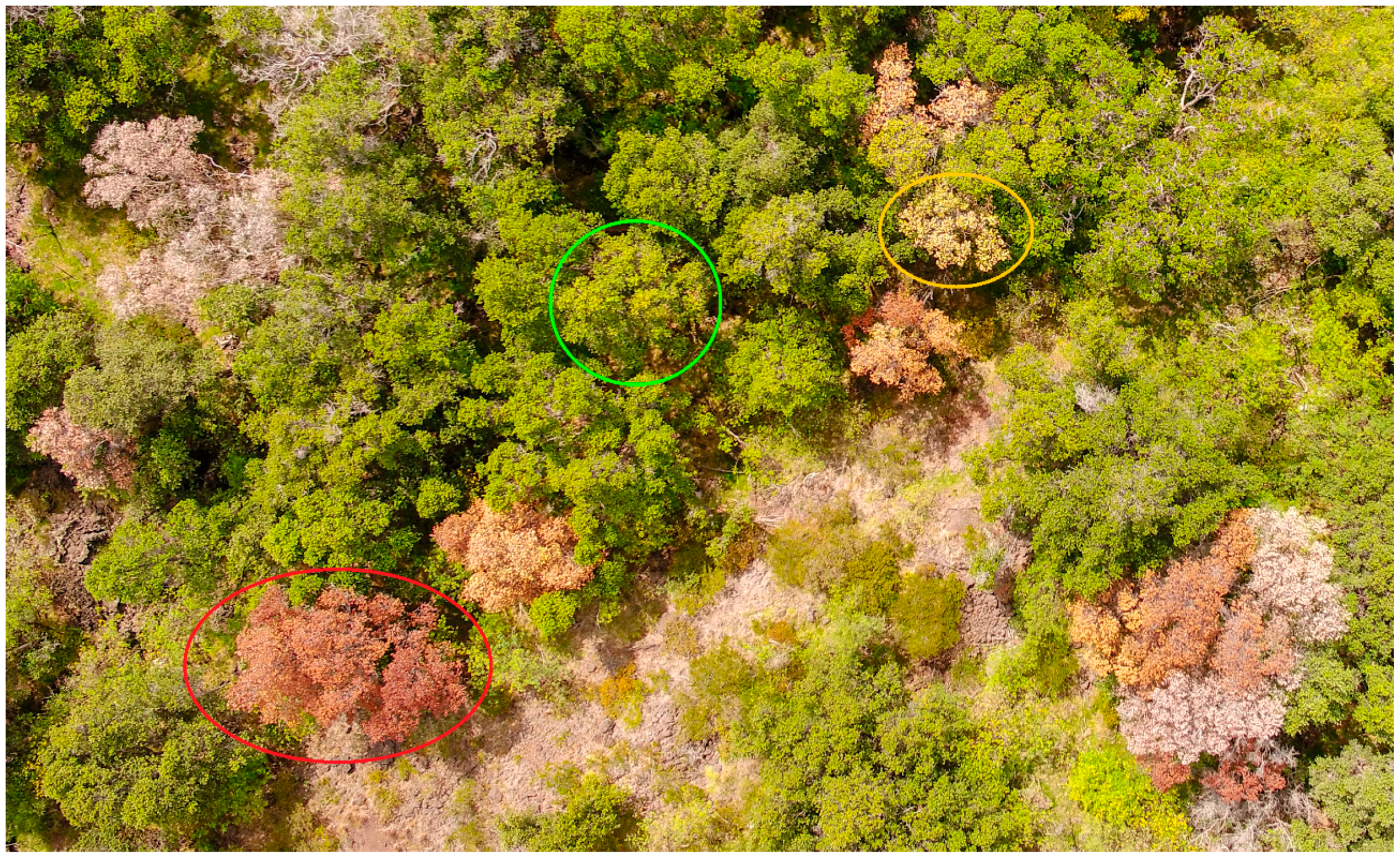 Remotesensing 12 01846 g001