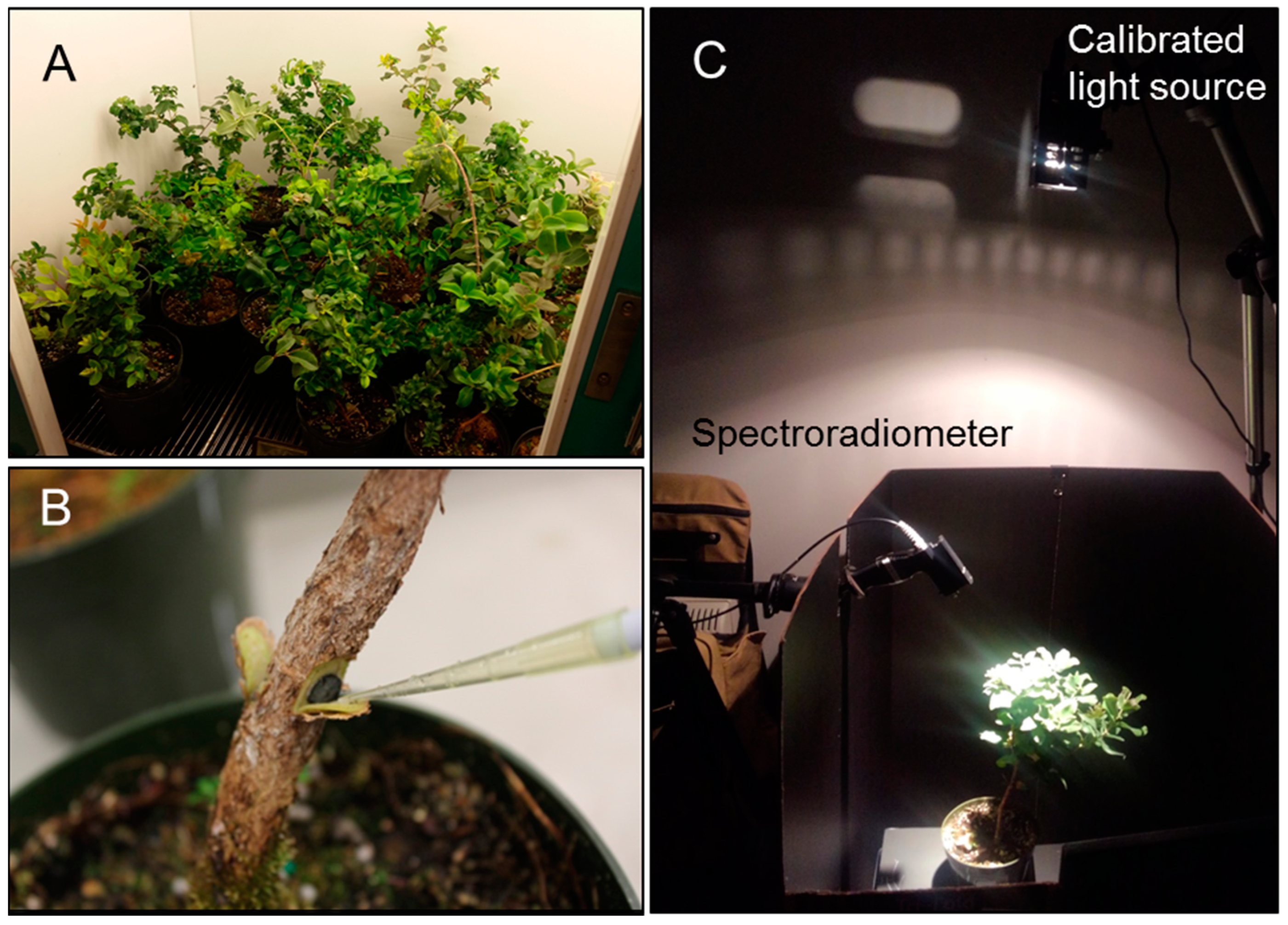 Remotesensing 12 01846 g002