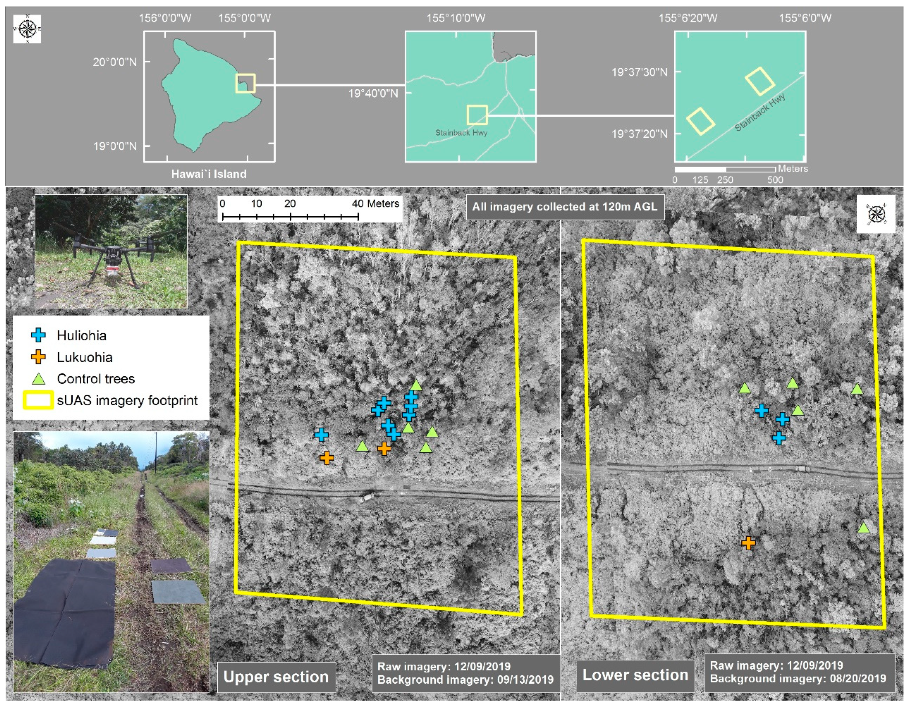 Remotesensing 12 01846 g004