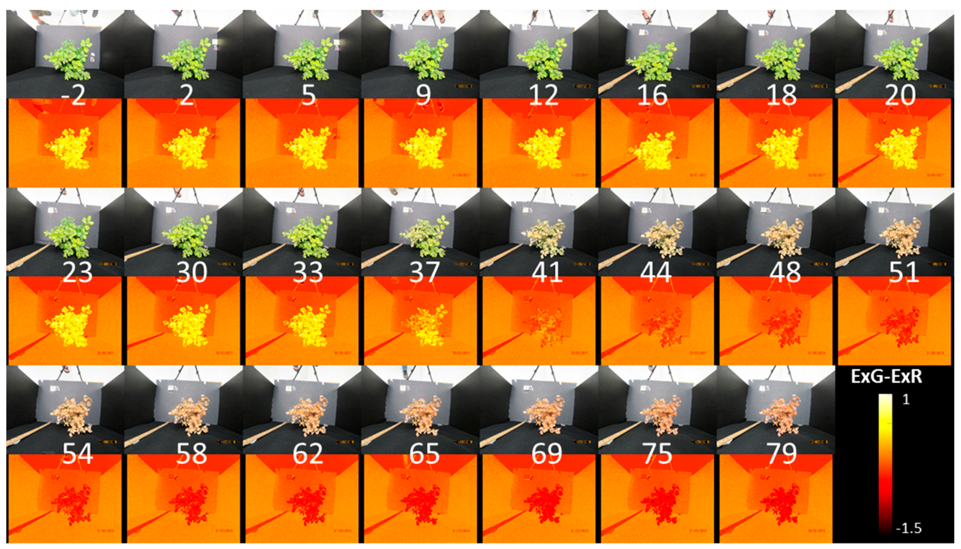 Remotesensing 12 01846 g006