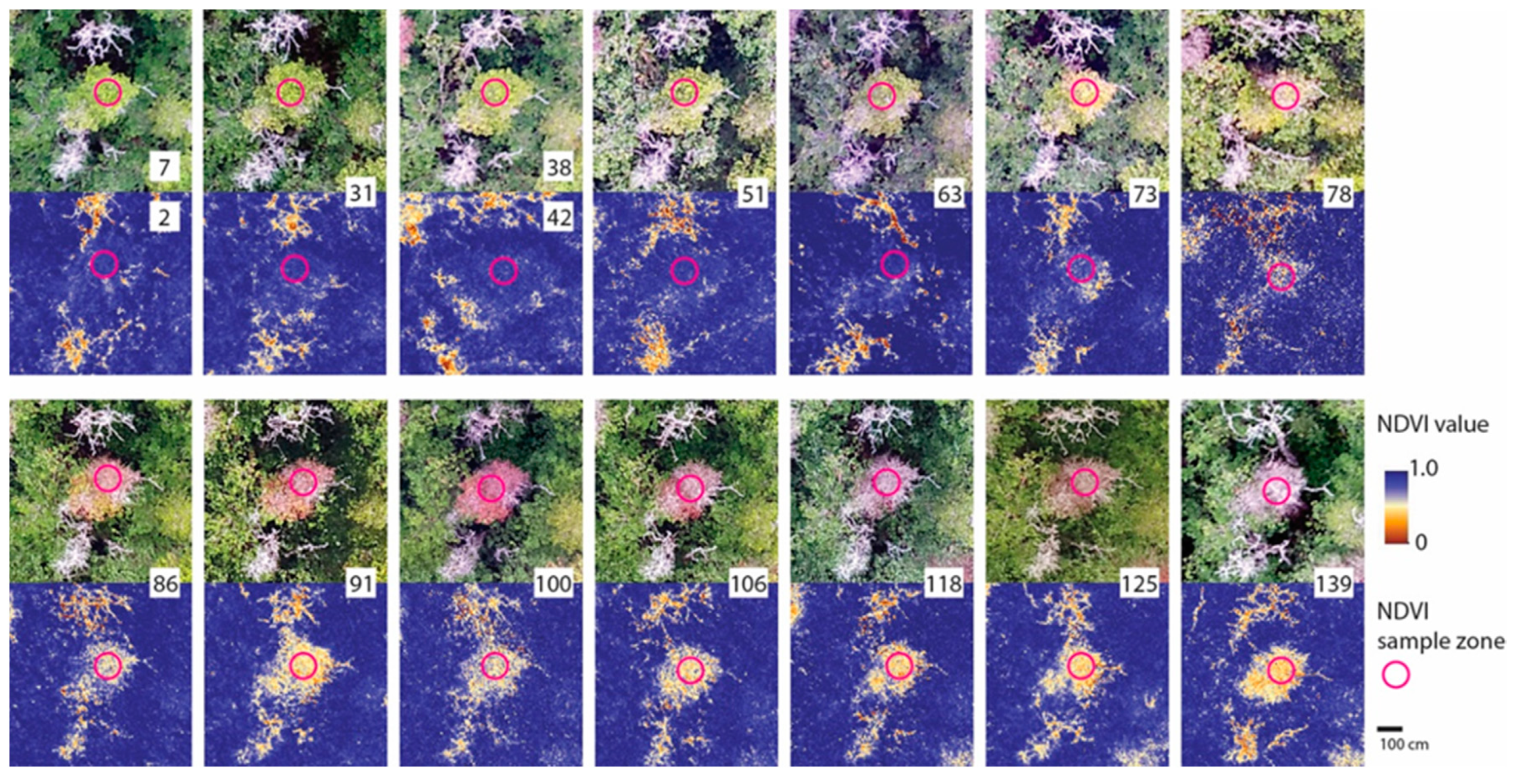 Remotesensing 12 01846 g011