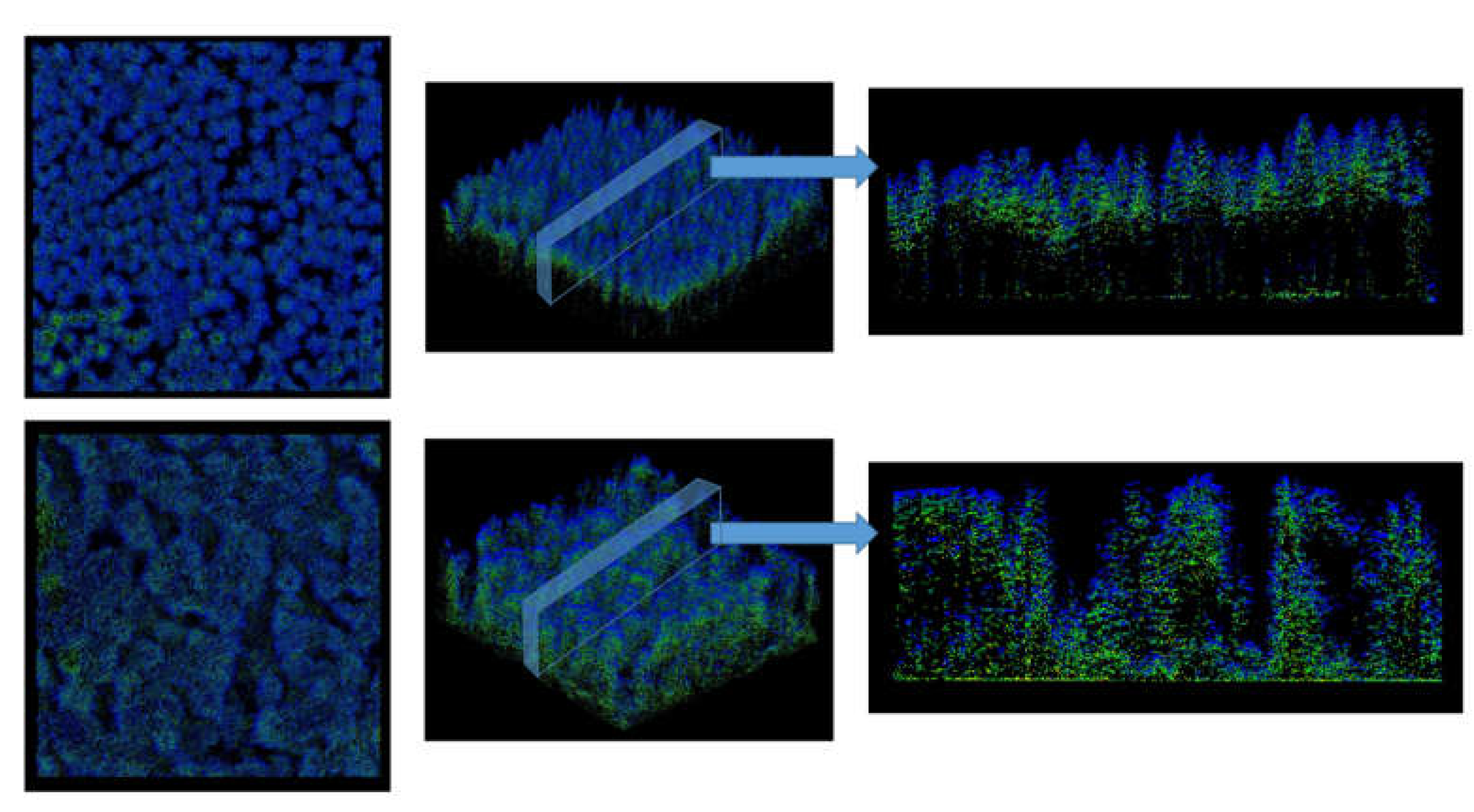 Remotesensing 12 01854 g002