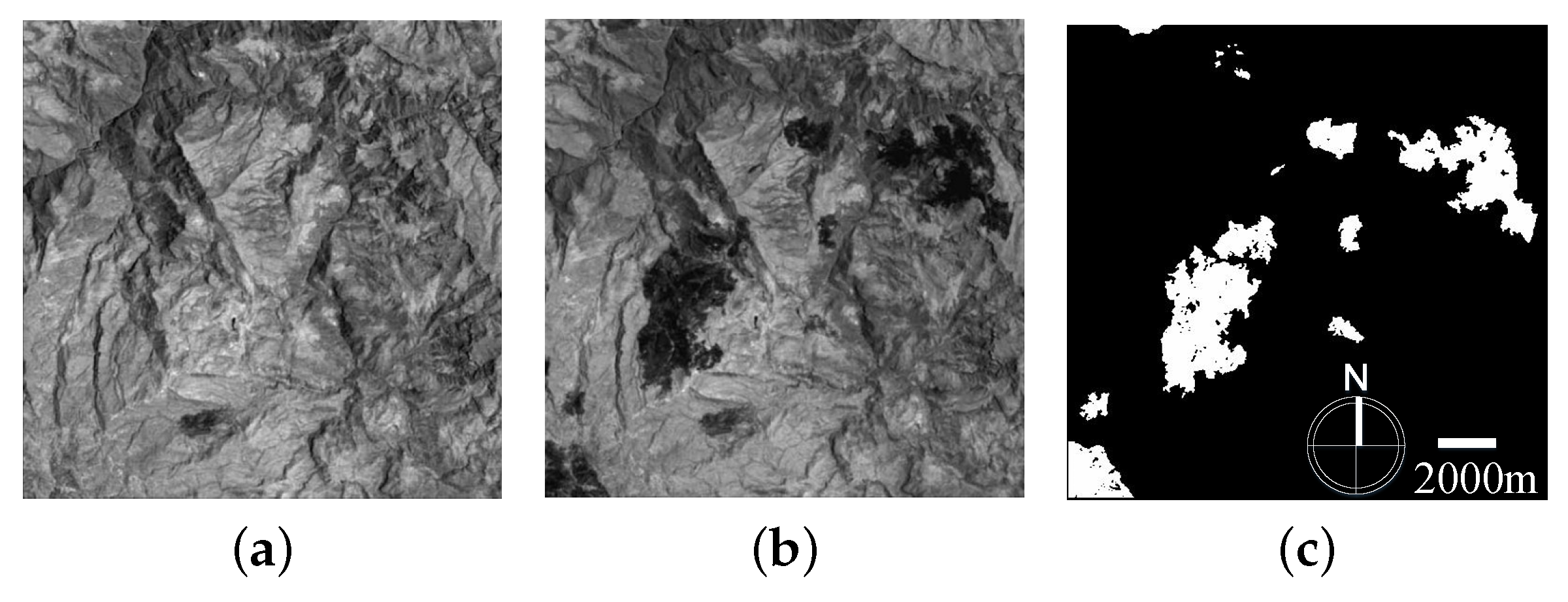 Remotesensing 12 01868 g008