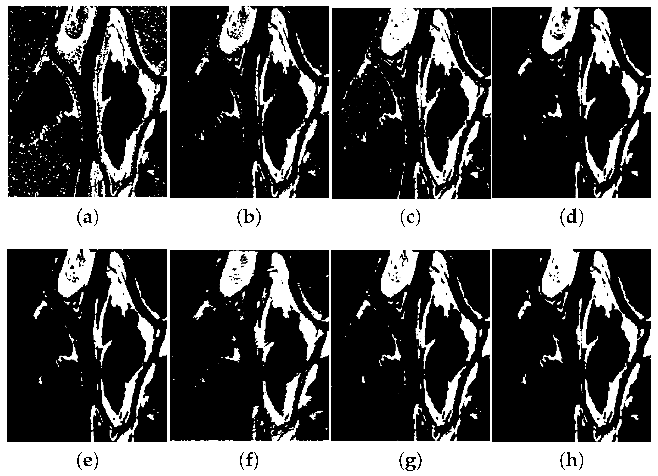 Remotesensing 12 01868 g019