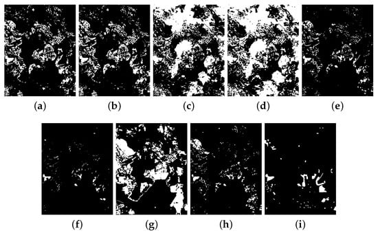 Remotesensing 12 01868 g0a11