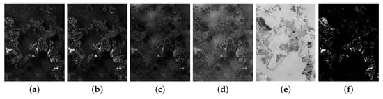 Remotesensing 12 01868 g0a9