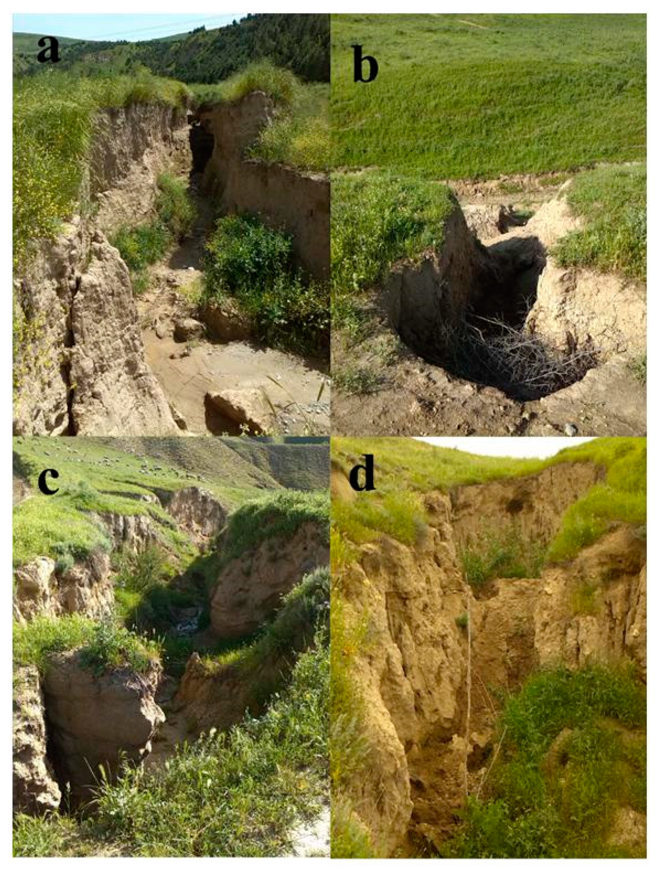 Remotesensing 12 01890 g003 Remotesensing 12 01890 g003