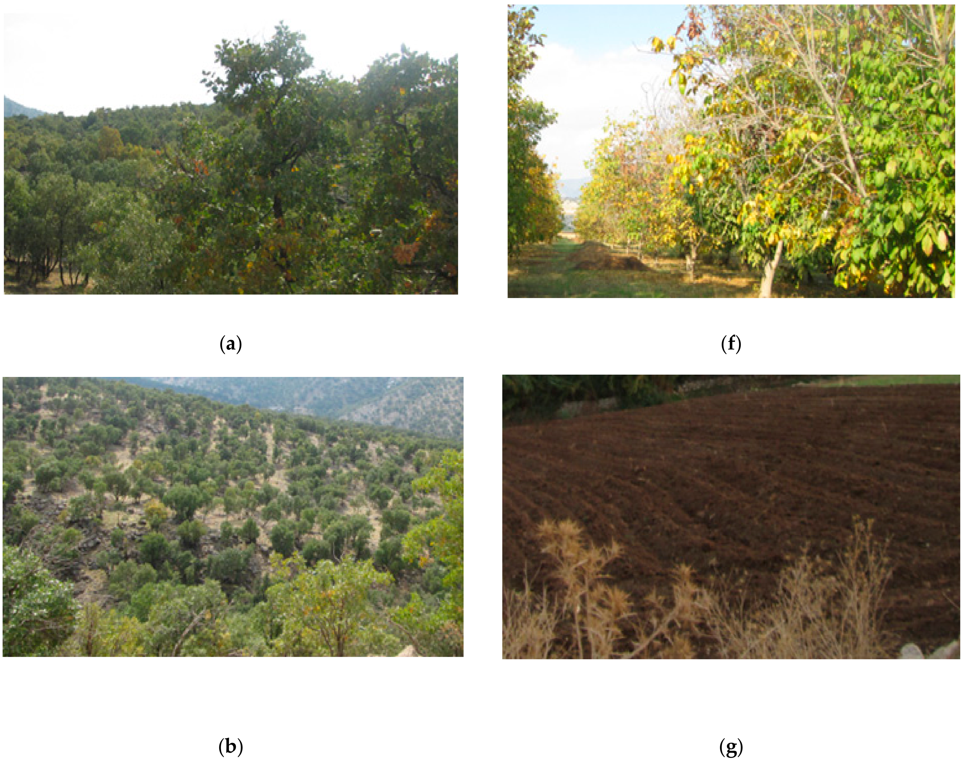 Remotesensing 12 01912 g003a