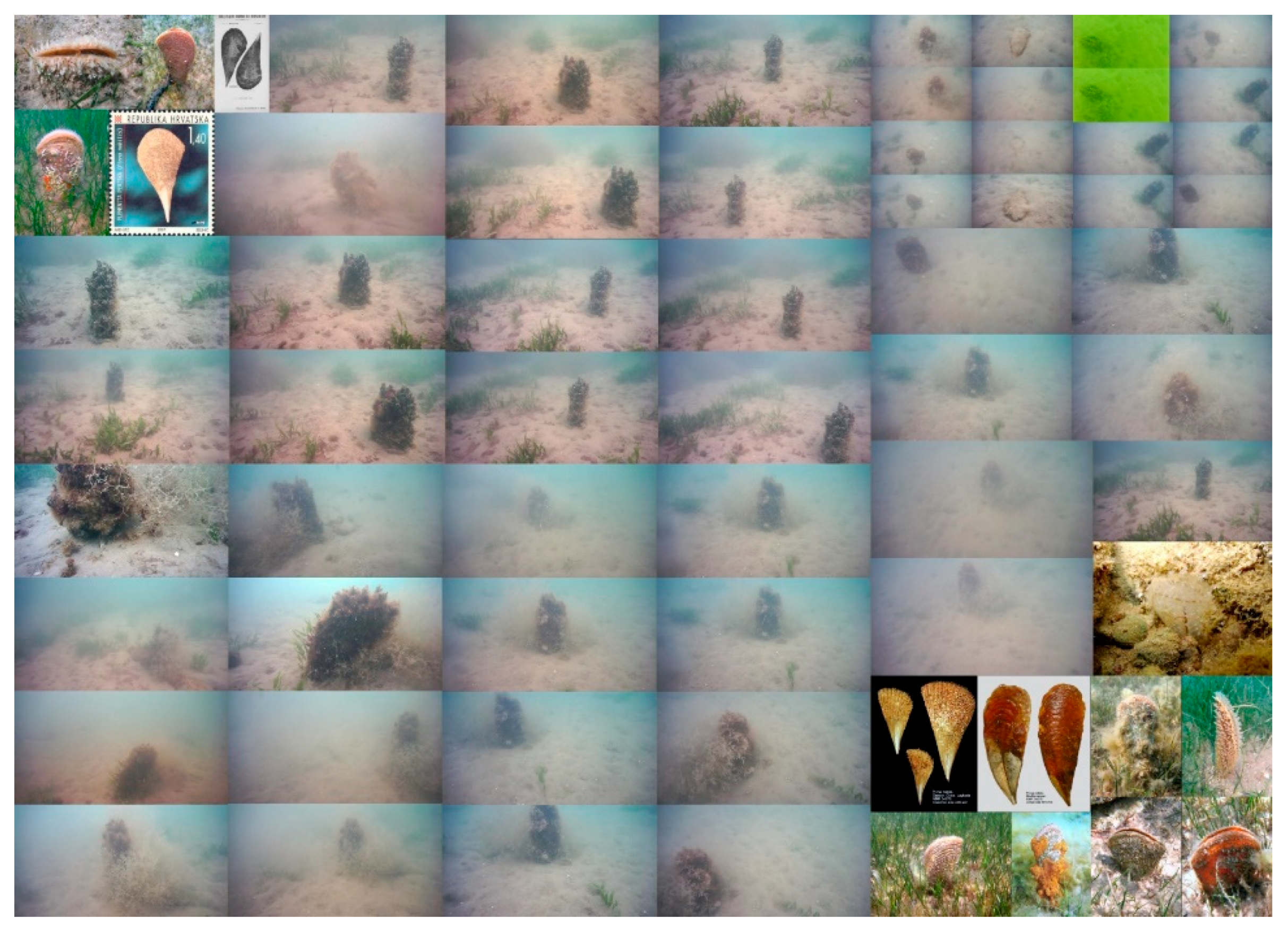 Remotesensing 12 01981 g006