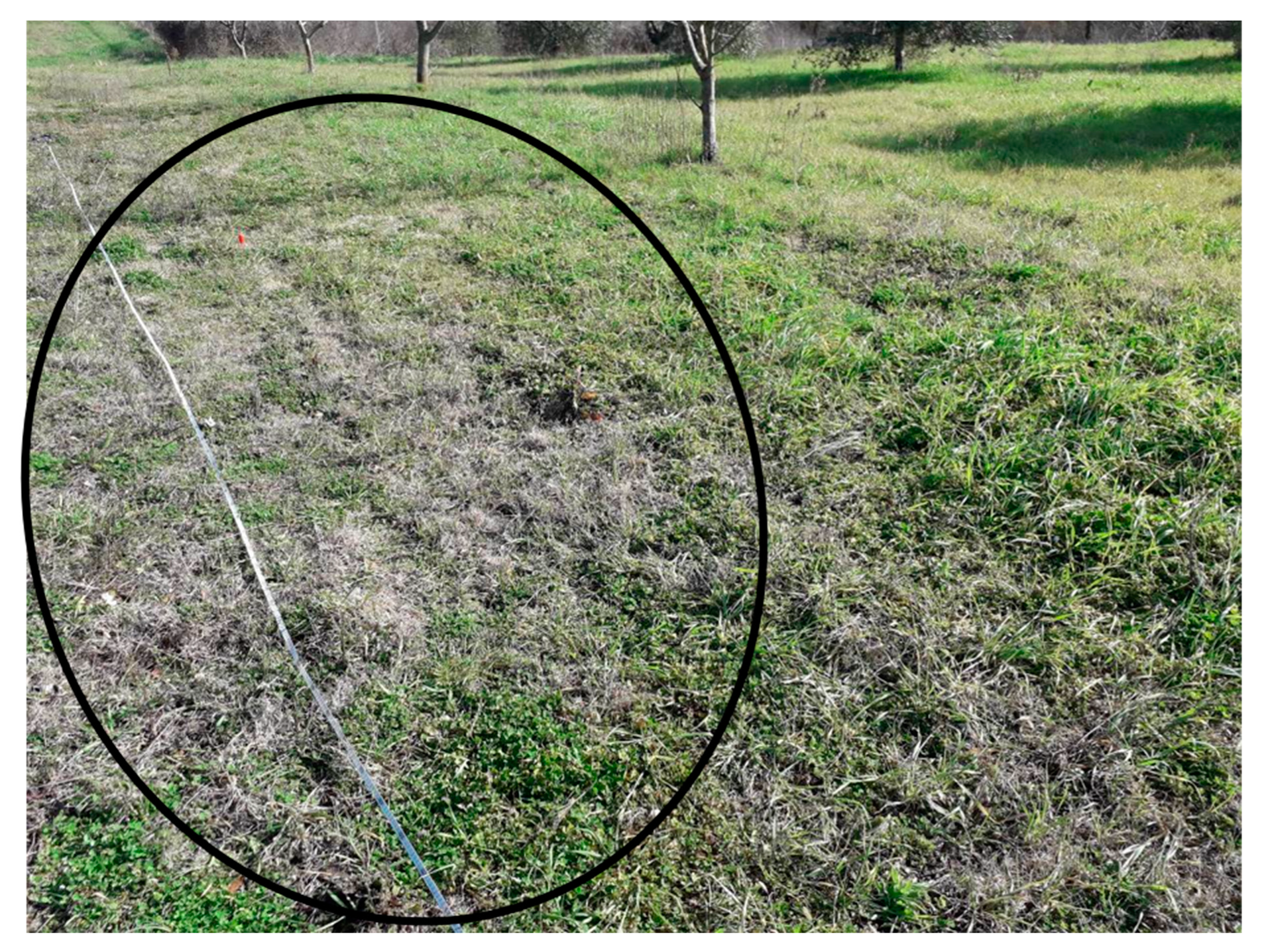 Remotesensing 12 02023 g005 Remotesensing 12 02023 g005