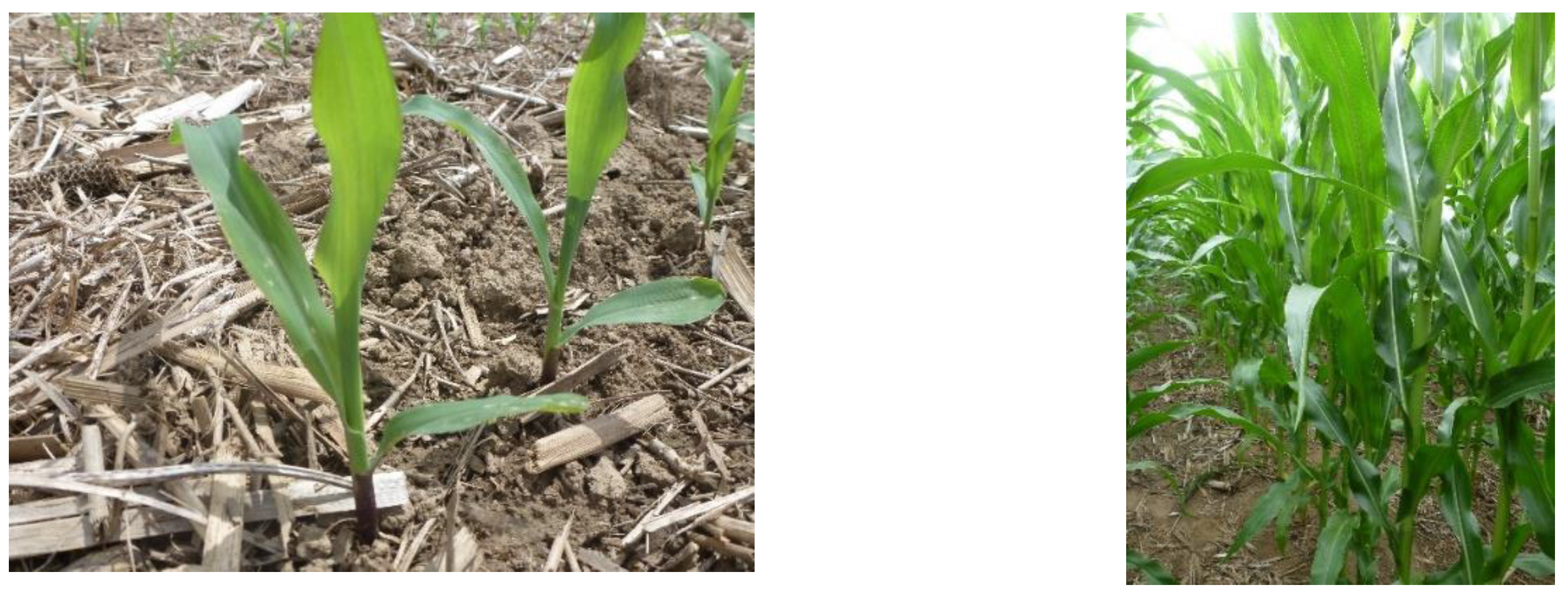 Remotesensing 12 02071 g002 Remotesensing 12 02071 g002