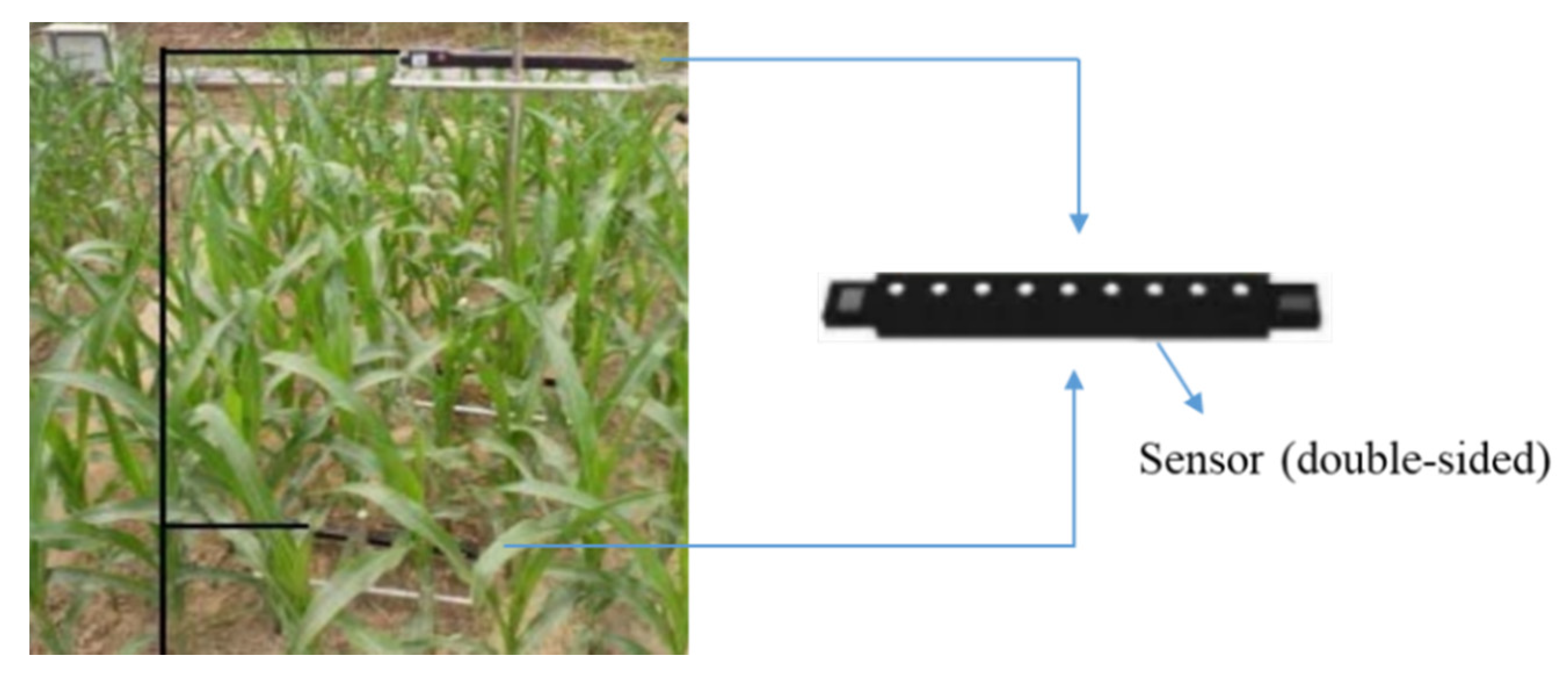 Remotesensing 12 02083 g001