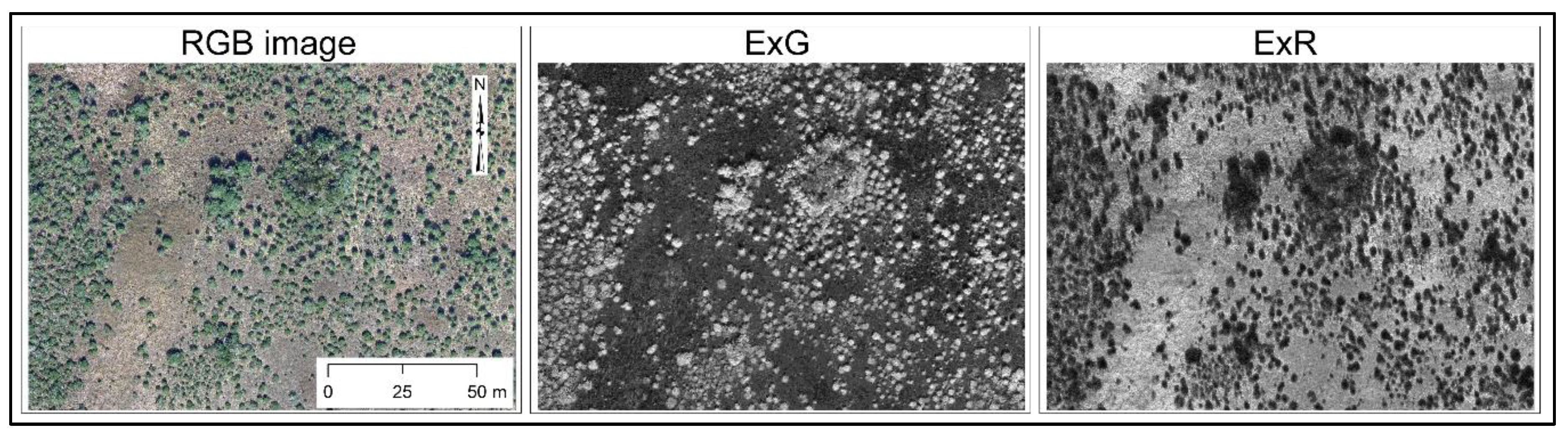 Remotesensing 12 02086 g004