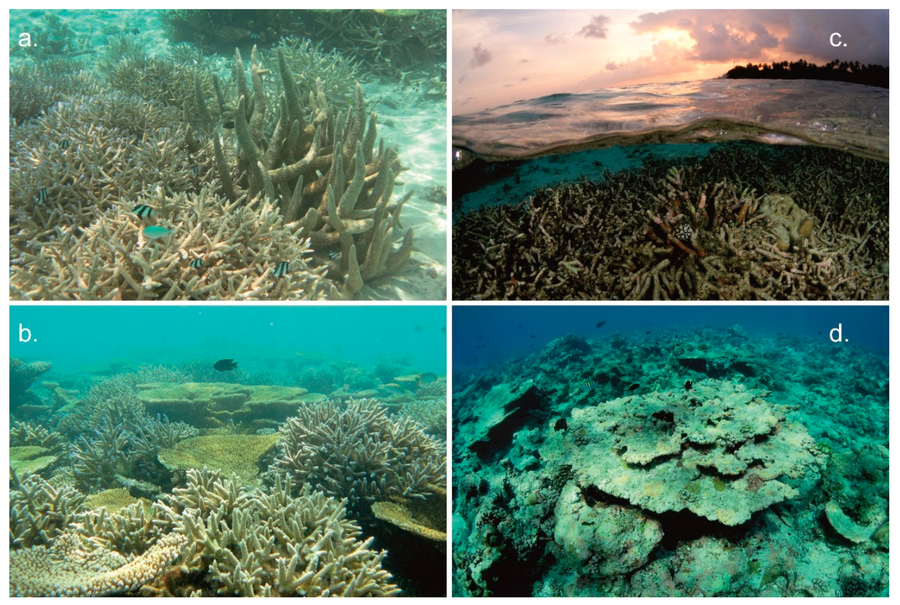 Remotesensing 12 02093 g010