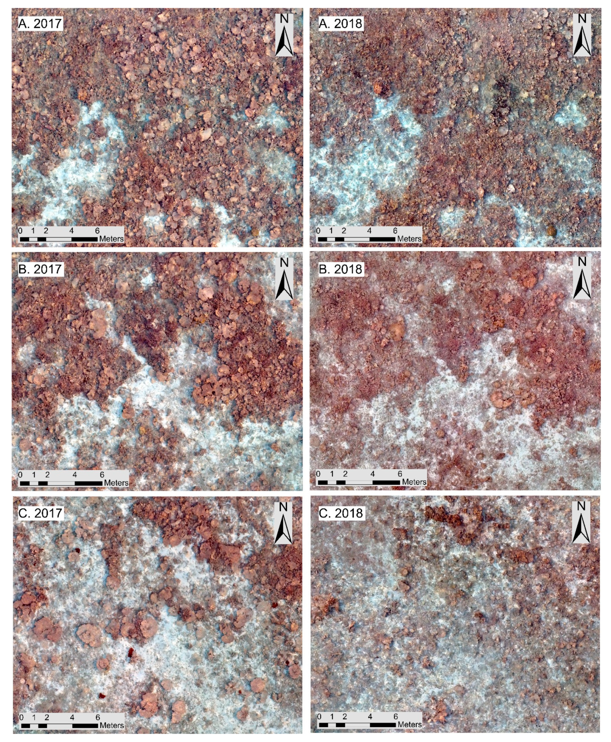 Remotesensing 12 02093 g011