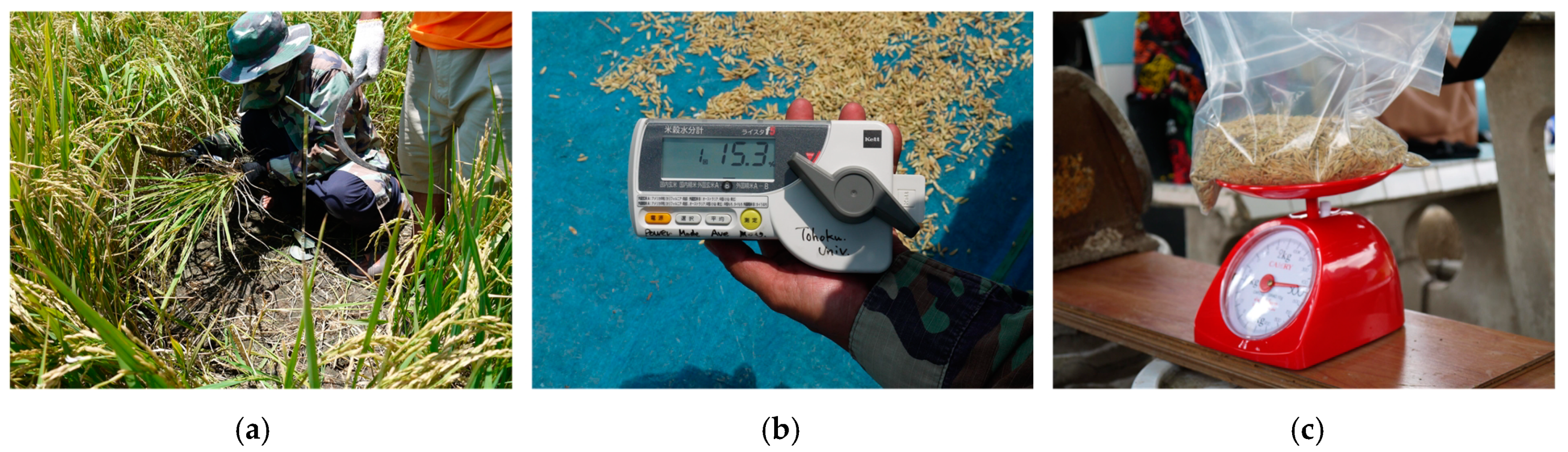 Remotesensing 12 02099 g004