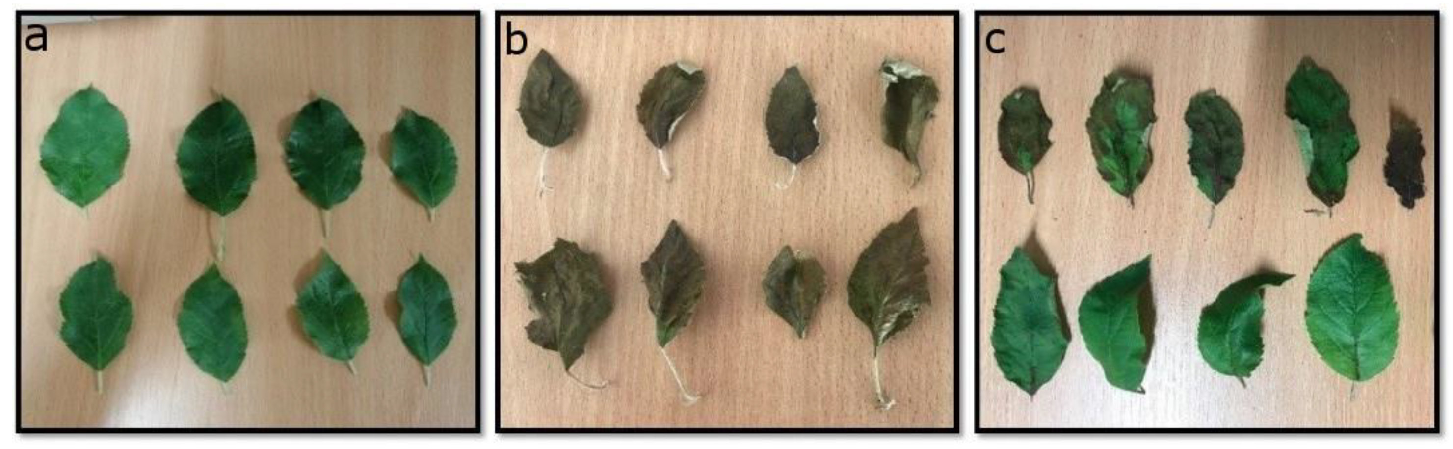 Remotesensing 12 02101 g001