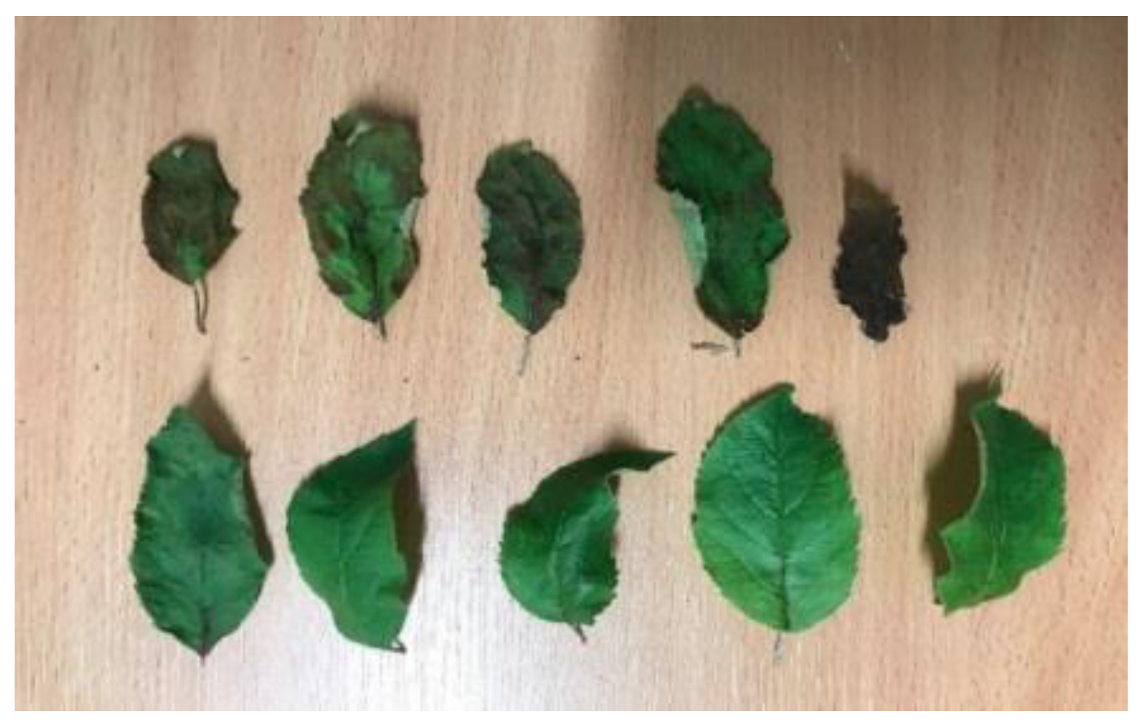 Remotesensing 12 02101 g006