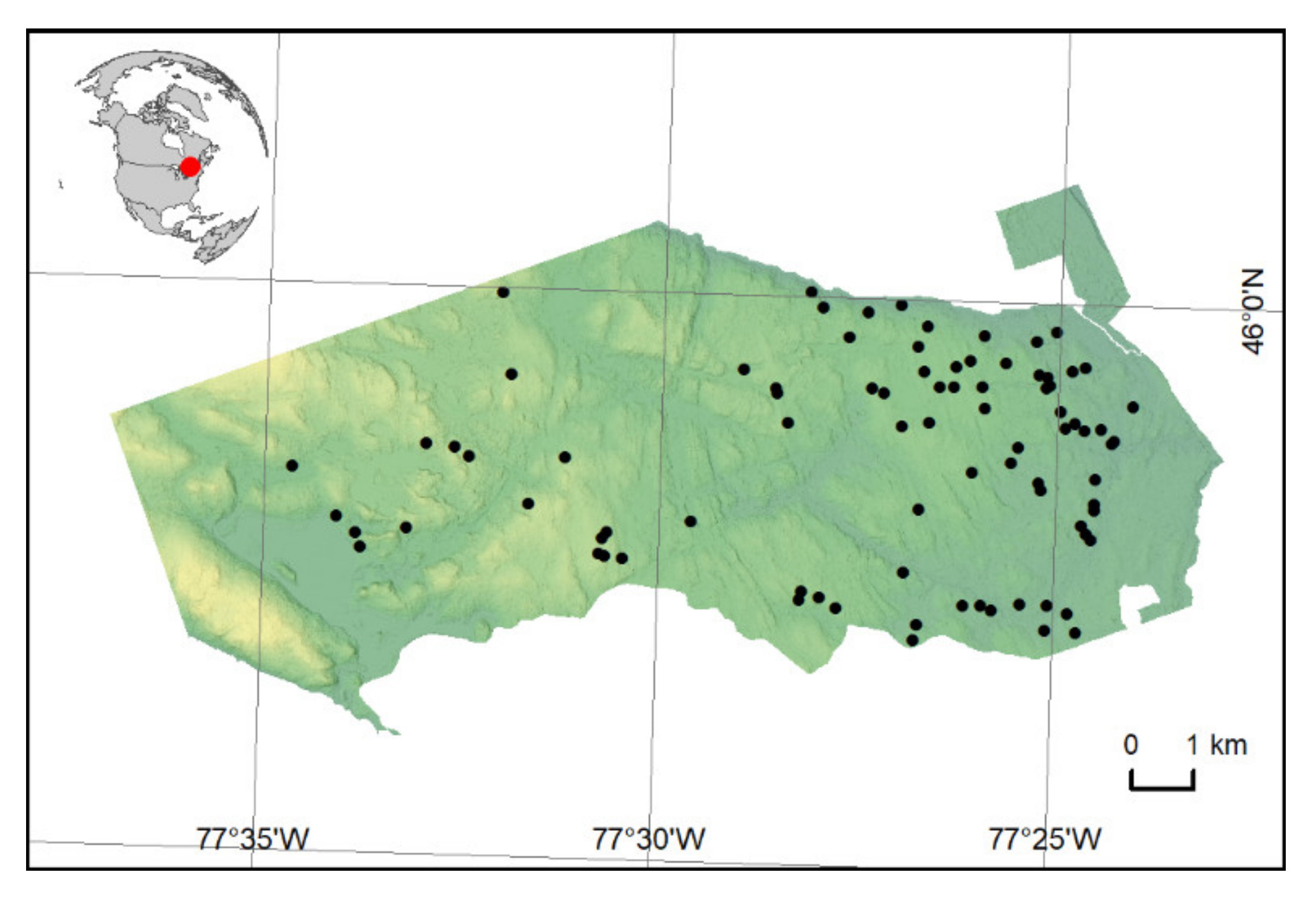 Remotesensing 12 02109 g001