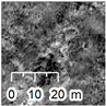 Remotesensing 12 02117 i002