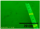 Remotesensing 12 02117 i004