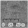 Remotesensing 12 02117 i009