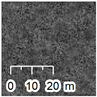 Remotesensing 12 02117 i010