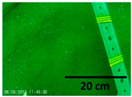 Remotesensing 12 02117 i012