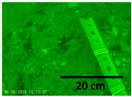 Remotesensing 12 02117 i014