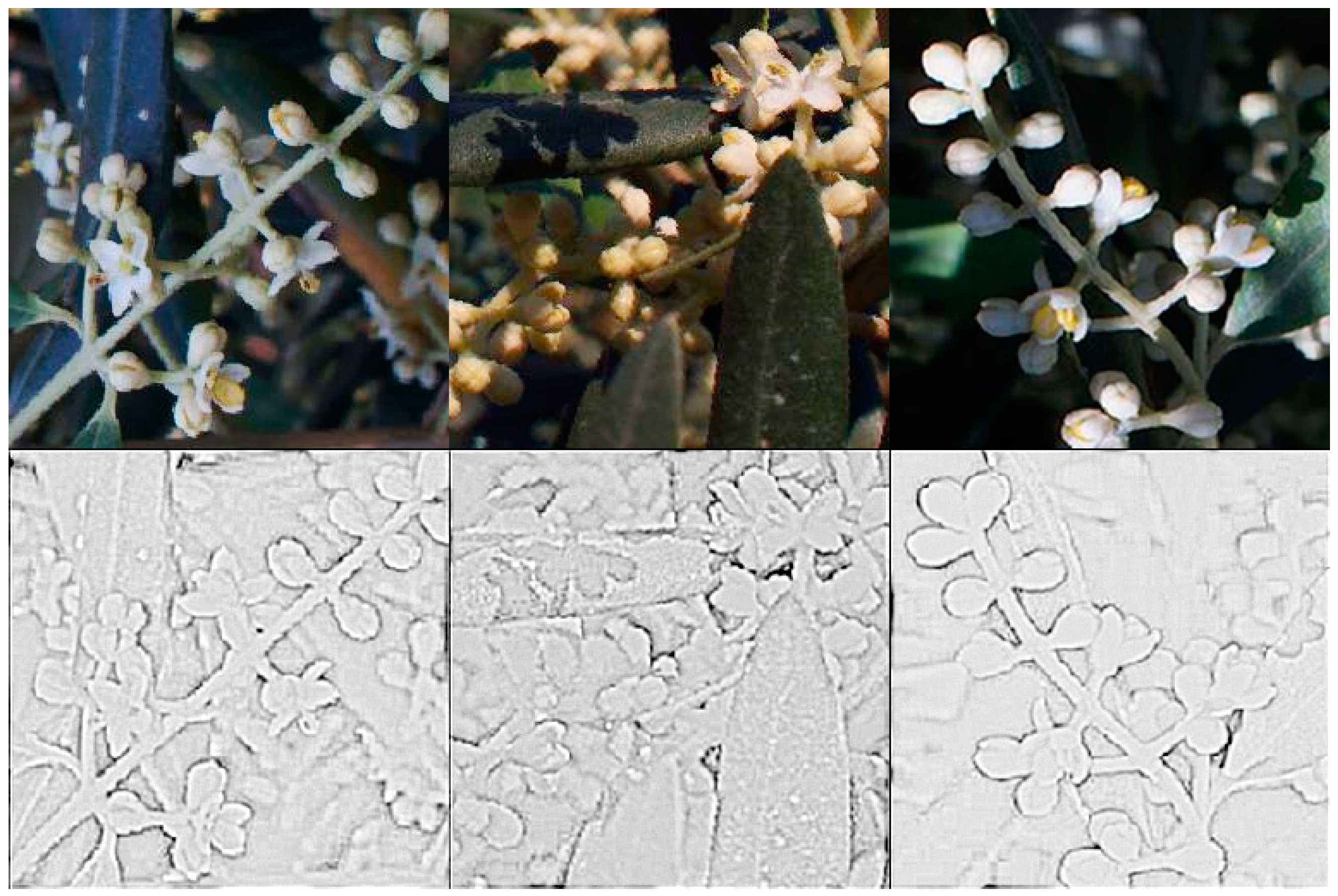 Remotesensing 12 02120 g005