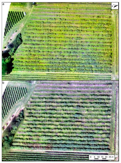 Remotesensing 12 02194 g0a1