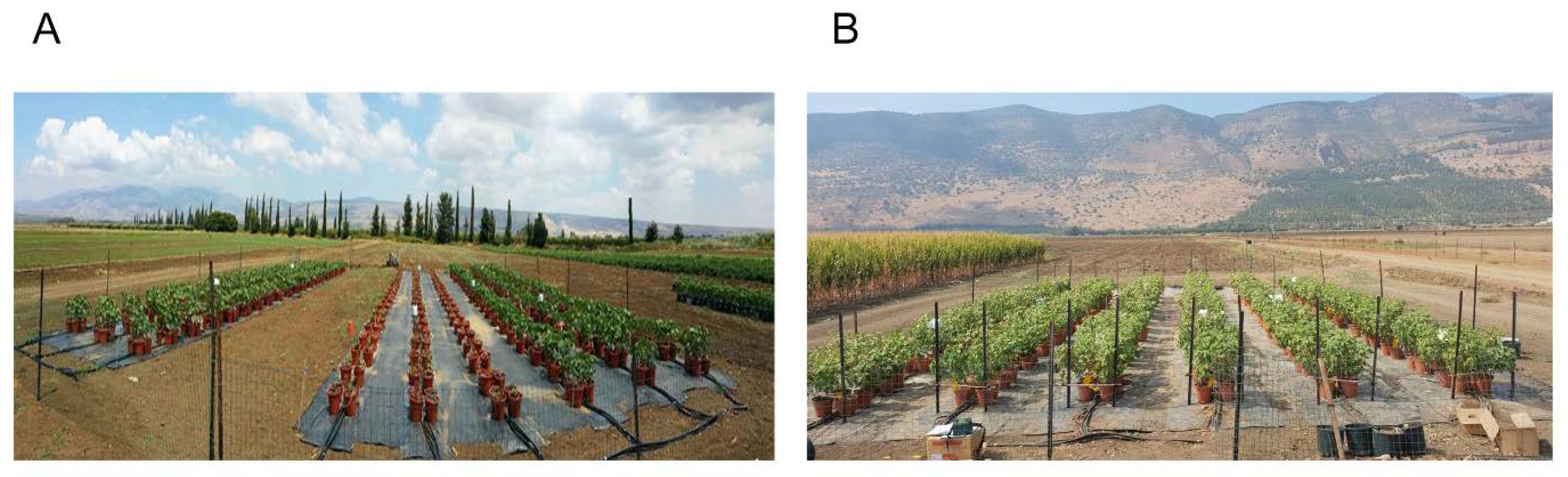 Remotesensing 12 02213 g001