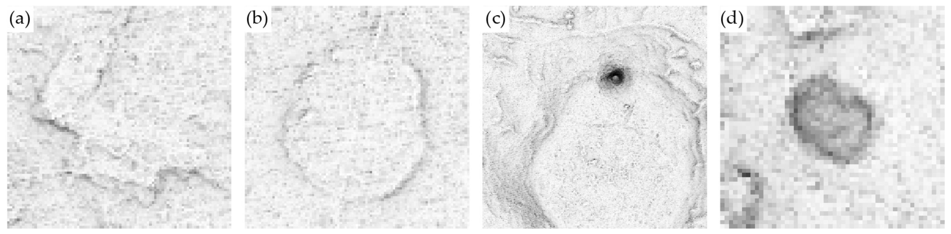 Remotesensing 12 02215 g013