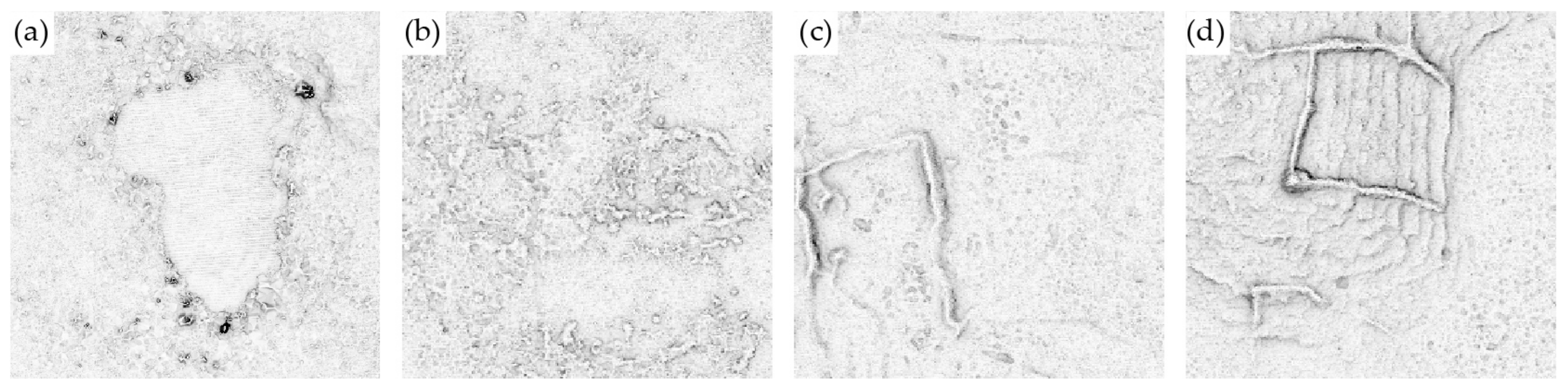 Remotesensing 12 02215 g014