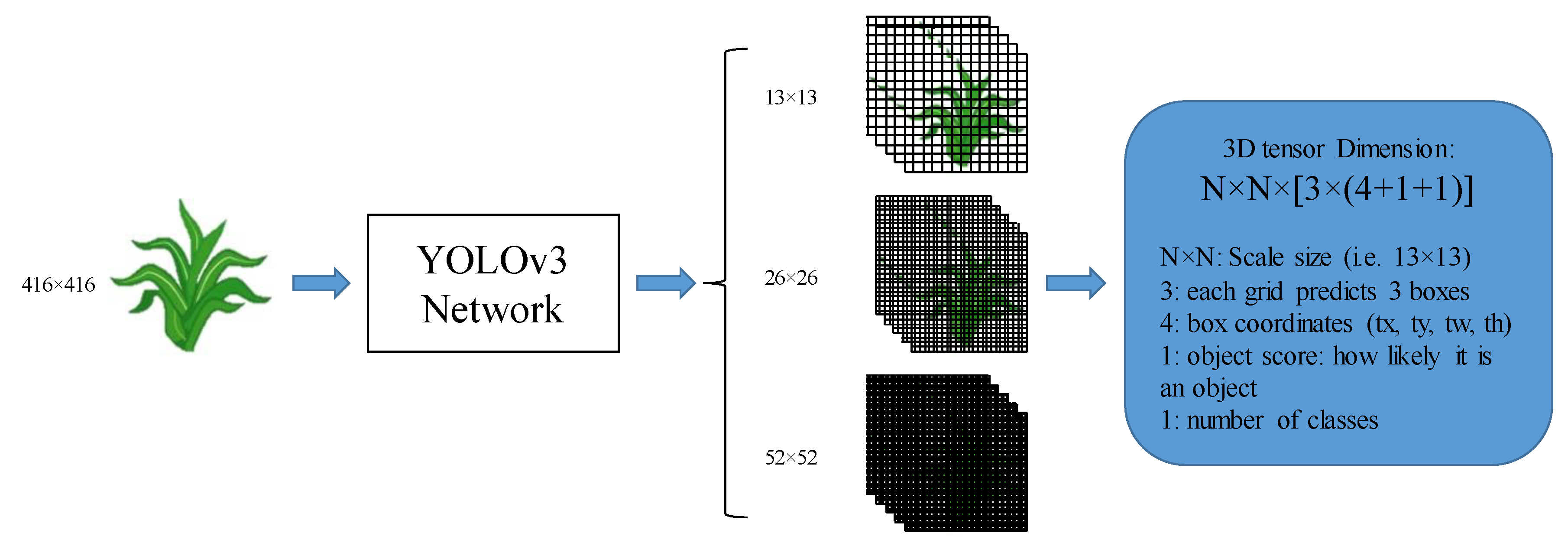 Remotesensing 12 02229 g004 Remotesensing 12 02229 g004