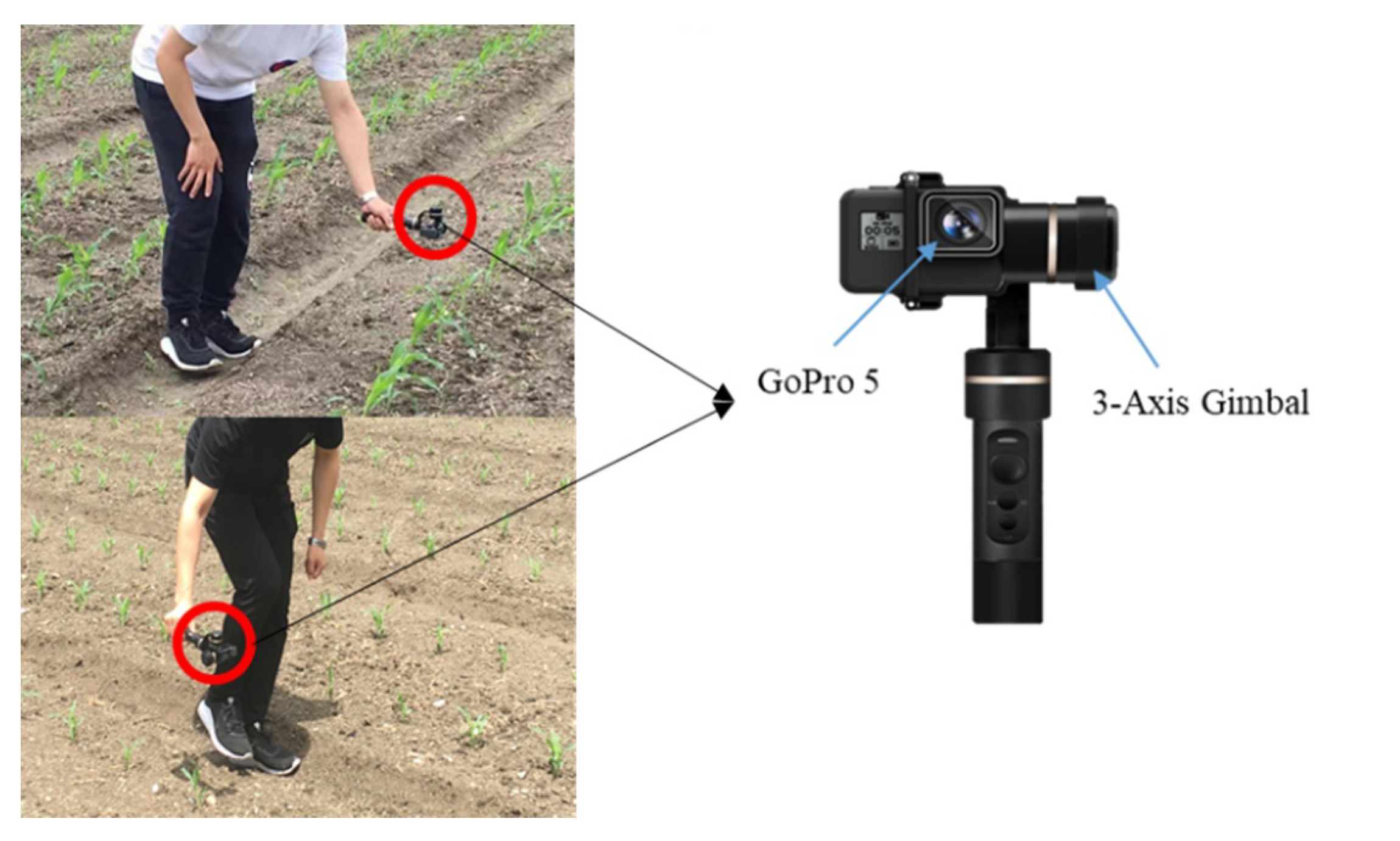 Remotesensing 12 02229 g005 Remotesensing 12 02229 g005