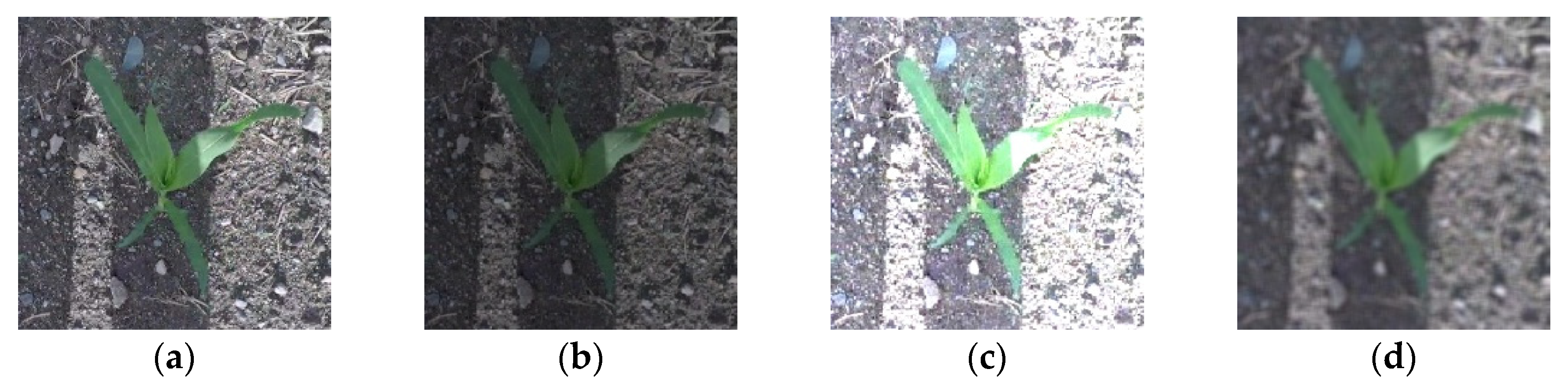 Remotesensing 12 02229 g007 Remotesensing 12 02229 g007