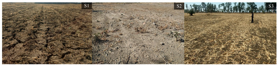 Remotesensing 12 02266 g0a1