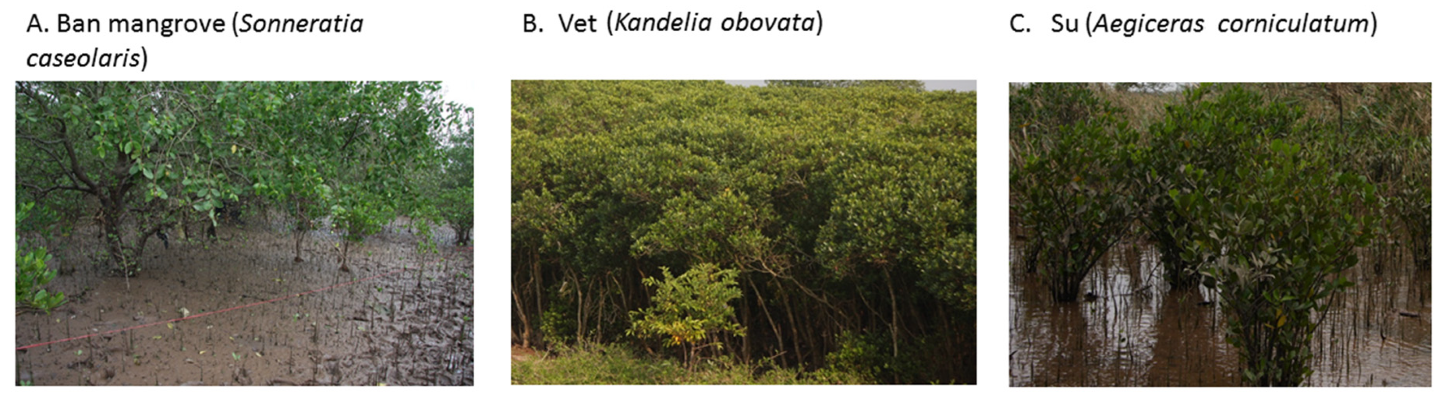 Remotesensing 12 02289 g010